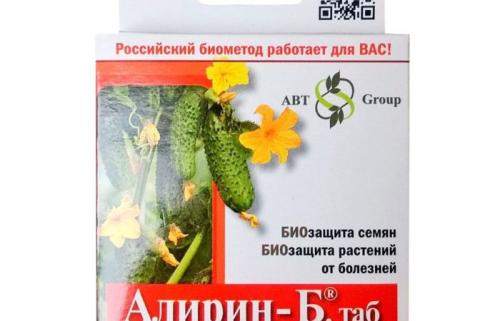 Чем обработать землю от фитофторы. Как обрабатывать землю от фитофторы весной и осенью