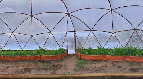 Подготовка теплицы осенью 2022 для следующего сезона. Обработка конструкции теплицы: мытье и дезинфекция 03