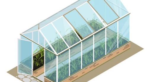 Подготовка теплицы осенью 2022 для следующего сезона. Обработка конструкции теплицы: мытье и дезинфекция 04