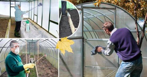 Чем обработать землю в теплице осенью от совки. Чем лучше обработать землю в теплице осенью