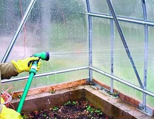Обработка теплицы фитоспорином осенью. Обработка конструкций парника