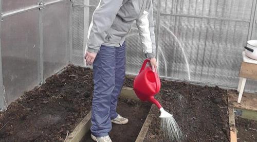 Чем обеззаразить землю в теплице. Пошаговая инструкция по обработке грунта: как обеззаразить почву в теплице без замены, выбор эффективных препаратов