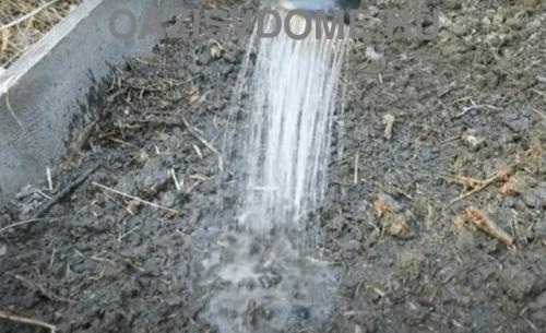 Обработка теплицы Фитоспорином. Когда и как обработать почву от болезней Фитоспорином осенью и весной