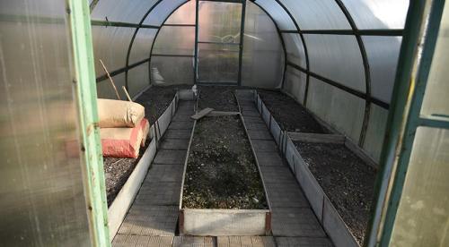 Что делать в теплице осенью. Промывка  теплицы 19