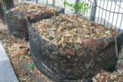 Уборка теплицы осенью. Осенняя уборка в теплице: пошаговая инструкция