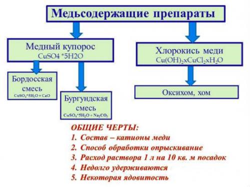 Чем обработать землю в теплице после помидор. Чем лучше обработать землю в теплице осенью