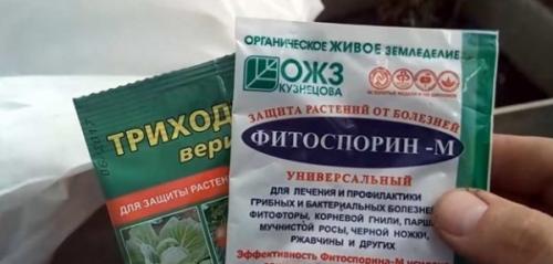 Чем обработать землю в теплице после помидор. Чем лучше обработать землю в теплице осенью