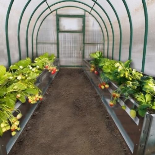 Какую землю в теплицу засыпать. Основные виды и составы тепличных грунтов 04 Какую землю в теплицу засыпать. Основные виды и составы тепличных грунтов 04