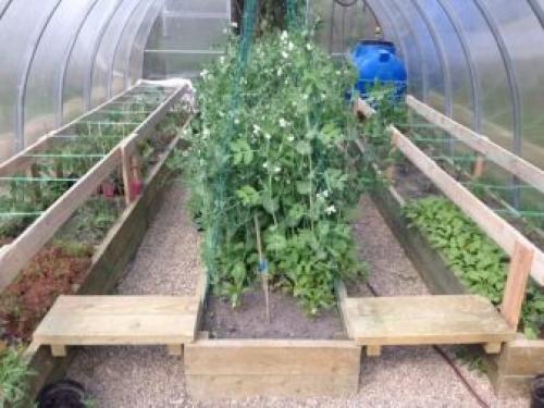 Какую землю в теплицу засыпать. Основные виды и составы тепличных грунтов 01 Какую землю в теплицу засыпать. Основные виды и составы тепличных грунтов 01
