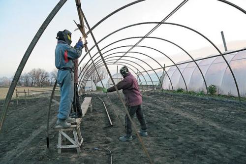 Как правильно составить план строительства теплицы из поликарбоната. Инструкция: создание теплицы своими руками