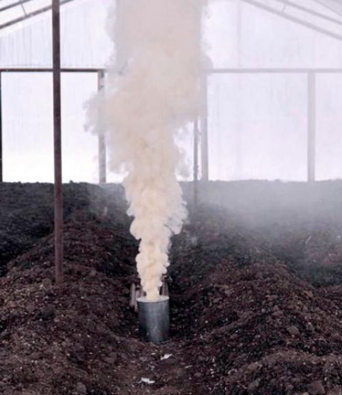 Обработка теплицы осенью от белокрылки. Обработка теплицы