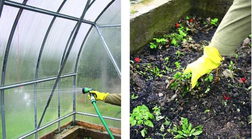 Осенняя подготовка теплицы к зиме. Осенние мероприятия по подготовке к зиме: порядок действий, пошаговое руководство, как обработать грунт, стены теплицы, дезинфекция
