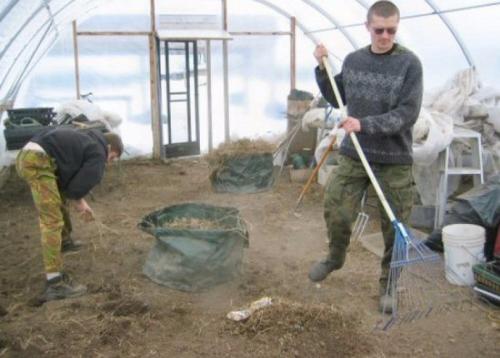 Осенняя подготовка теплицы к зиме. Осенние мероприятия по подготовке к зиме: порядок действий, пошаговое руководство, как обработать грунт, стены теплицы, дезинфекция