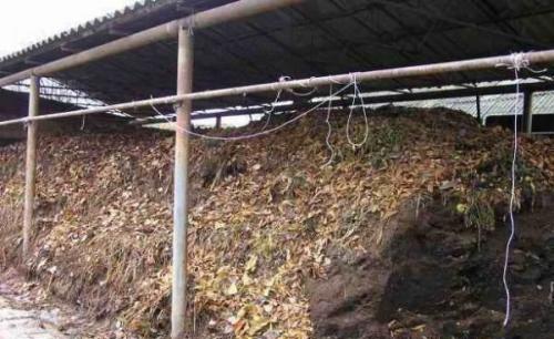 Осенняя подготовка теплицы к зиме. Осенние мероприятия по подготовке к зиме: порядок действий, пошаговое руководство, как обработать грунт, стены теплицы, дезинфекция