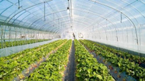 Строим теплицу из профиля своими руками: подробный инструктаж 05