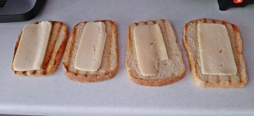 Как правильно использовать электрический гриль для дома. Как приготовить вкусные мясо, птицу и рыбу на электрогриле