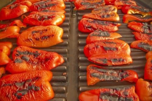 Какие блюда можно приготовить на электрическом гриле для дома. 20 самых вкусных блюд на электрогриле