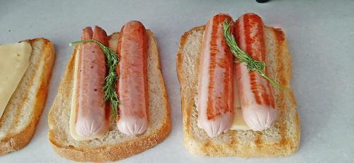 Как правильно использовать электрический гриль для дома. Как приготовить вкусные мясо, птицу и рыбу на электрогриле