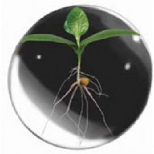 Лучшие светильники для промышленных теплиц: наш топ-3 04 Лучшие светильники для промышленных теплиц: наш топ-3 04