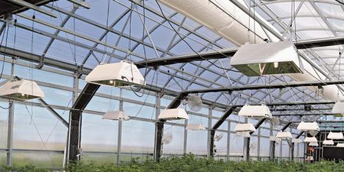 Светодиодное освещение теплиц: процесс производства и установки 08 Светодиодное освещение теплиц: процесс производства и установки 08