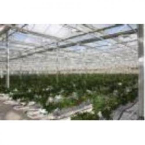 Зачем используются светильники в промышленных теплицах