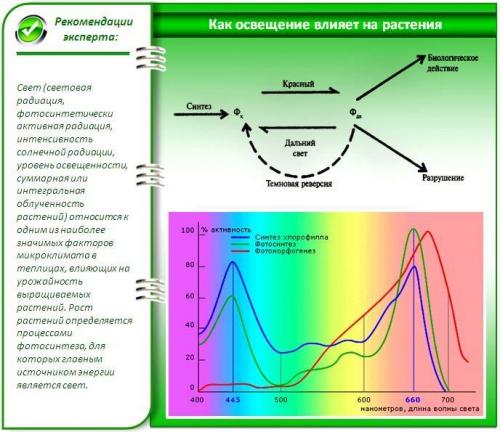 Как выбрать светильники, которые не будут нагреваться при работе и не повредить растения