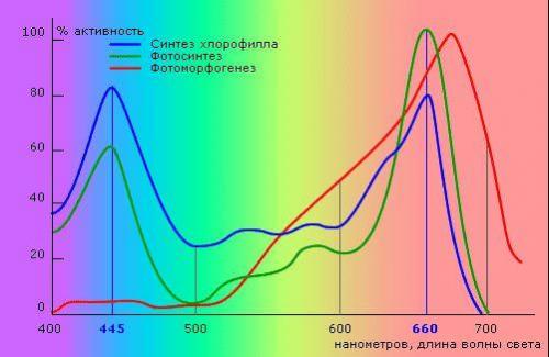 Как выбрать светильники, которые не будут нагреваться при работе и не повредить растения