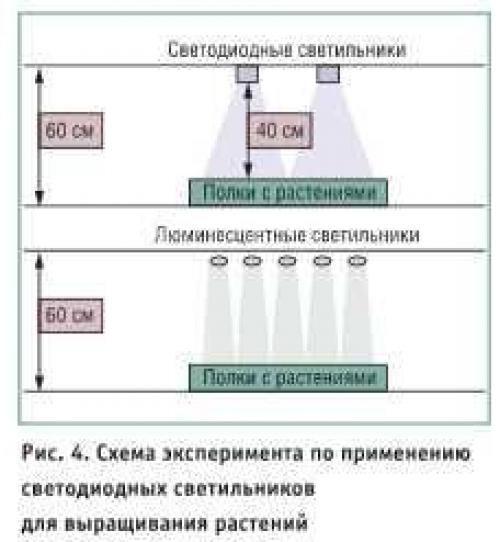Как эффективно использовать светодиодные светильники для сокращения энергозатрат в теплице. Описание эксперимента