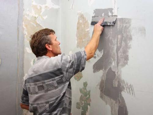 Шпаклевка стен для начинающих. Шпаклевка стен своими руками: обучающий урок для новичков, как наносить, выравнивать и шпаклевать стены под обои или покраску