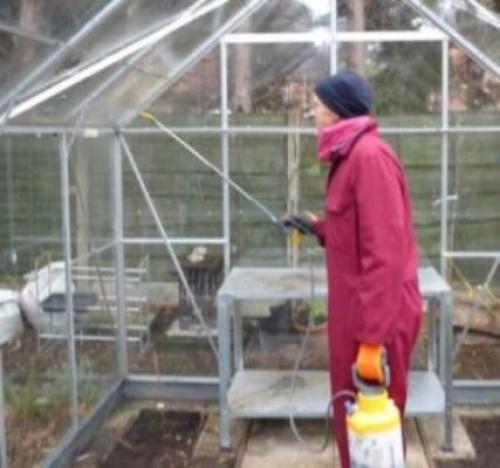 Обработка теплицы от вредителей и болезней осенью. Очистка поверхностей разных видов теплиц 06