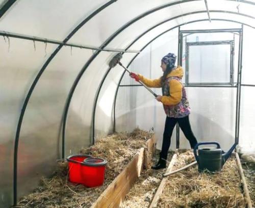 Обработка теплицы от вредителей и болезней осенью. Очистка поверхностей разных видов теплиц 07
