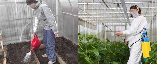 Обработка теплицы белизной осенью. Обработка теплицы осенью без замены почвы. Необходимость обеззараживания почвы