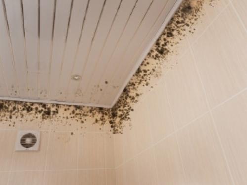 Монтаж стеновых панелей своими руками. Способы крепления ламелей 10