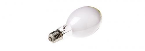 Как выбрать освещение для теплиц, учитывая тип выращиваемых растений