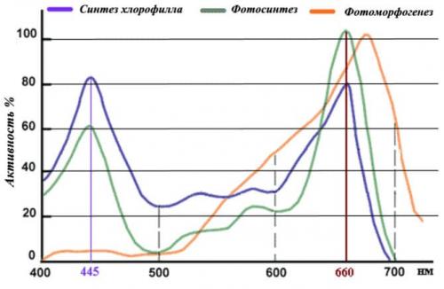Как определить оптимальный режим работы ламп для теплицы. Какие лампы или светильники использовать