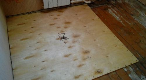 Толщина листов фанеры для пола. Толщина листов для пола 05 Толщина листов фанеры для пола. Толщина листов для пола 05