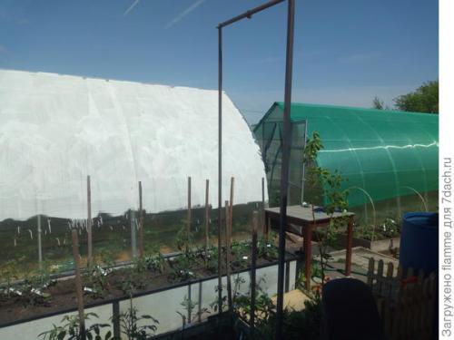 Как обеспечить надлежащую защиту растений в теплице. Секрет защиты растений от жары в теплице