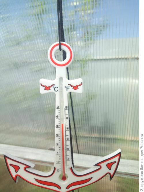 Как обеспечить надлежащую защиту растений в теплице. Секрет защиты растений от жары в теплице