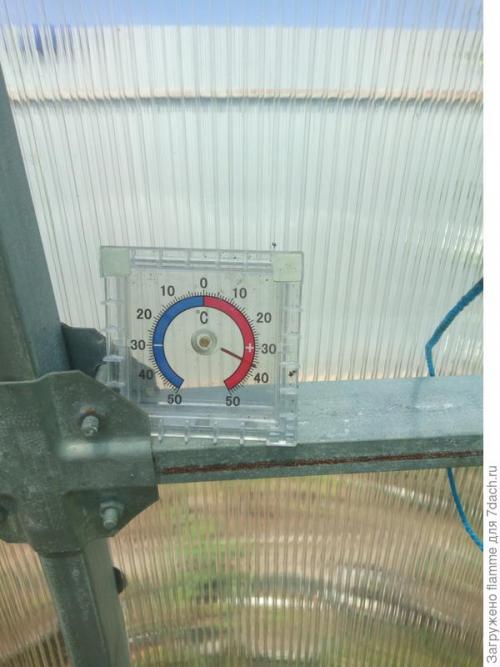 Как обеспечить надлежащую защиту растений в теплице. Секрет защиты растений от жары в теплице