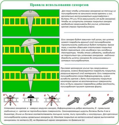 Как правильно монтировать поликарбонатные панели на каркас теплицы. Учет характеристик материала