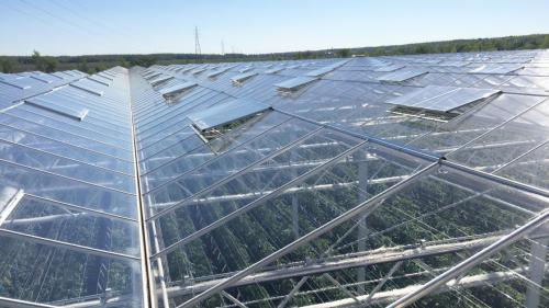 Теплицы из поликарбоната: простой способ создания устойчивого отапливаемого пространства 13