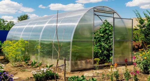 Как правильно установить поликарбонатные панели на каркас теплицы. Как прикрутить поликарбонат на теплицу сверху: возможные решения