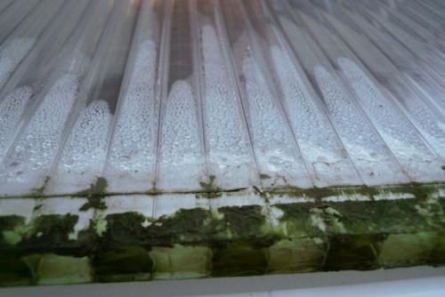 5 ошибок при установке теплицы из поликарбоната. 8 ошибок при сборке теплицы из поликарбоната, которые могут критично повлиять на её долговечность