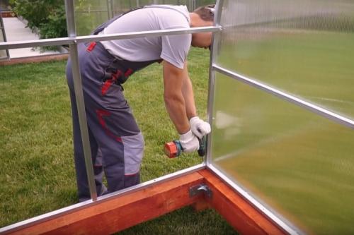 Проектирование и установка теплицы ЗАВОД теплиц РУ в Солнечногорске 13