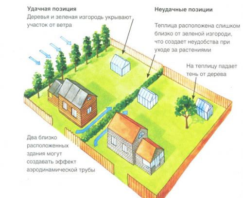 Как выбрать место для установки теплицы ЗАВОД теплиц РУ. №2. Где поставить теплицу?