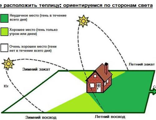Какие типы теплиц существуют и какой выбрать. №2. Где поставить теплицу?
