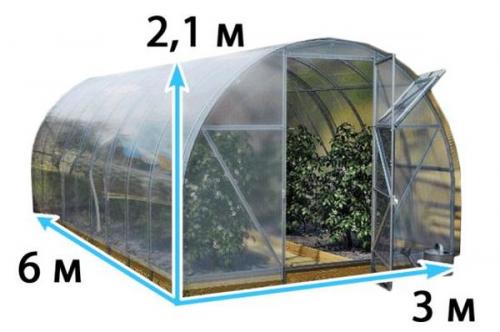 Теплица 6х3 на садовом участке. Преимущества и недостатки