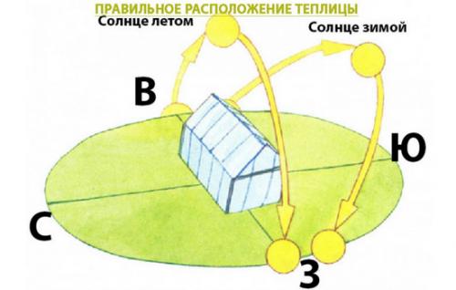 Какие растения можно выращивать в теплице 6х3 на садовом участке. Как расположить грядки в теплице 3 на 6: возможные способы размещения