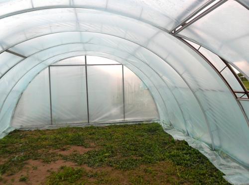 Можно ли договориться о скидке на услуги установки теплицы