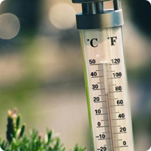 Как увеличить урожайность в теплице Воля. СЕКРЕТЫ ДЛЯ УВЕЛИЧЕНИЯ УРОЖАЯ В ТЕПЛИЦЕ